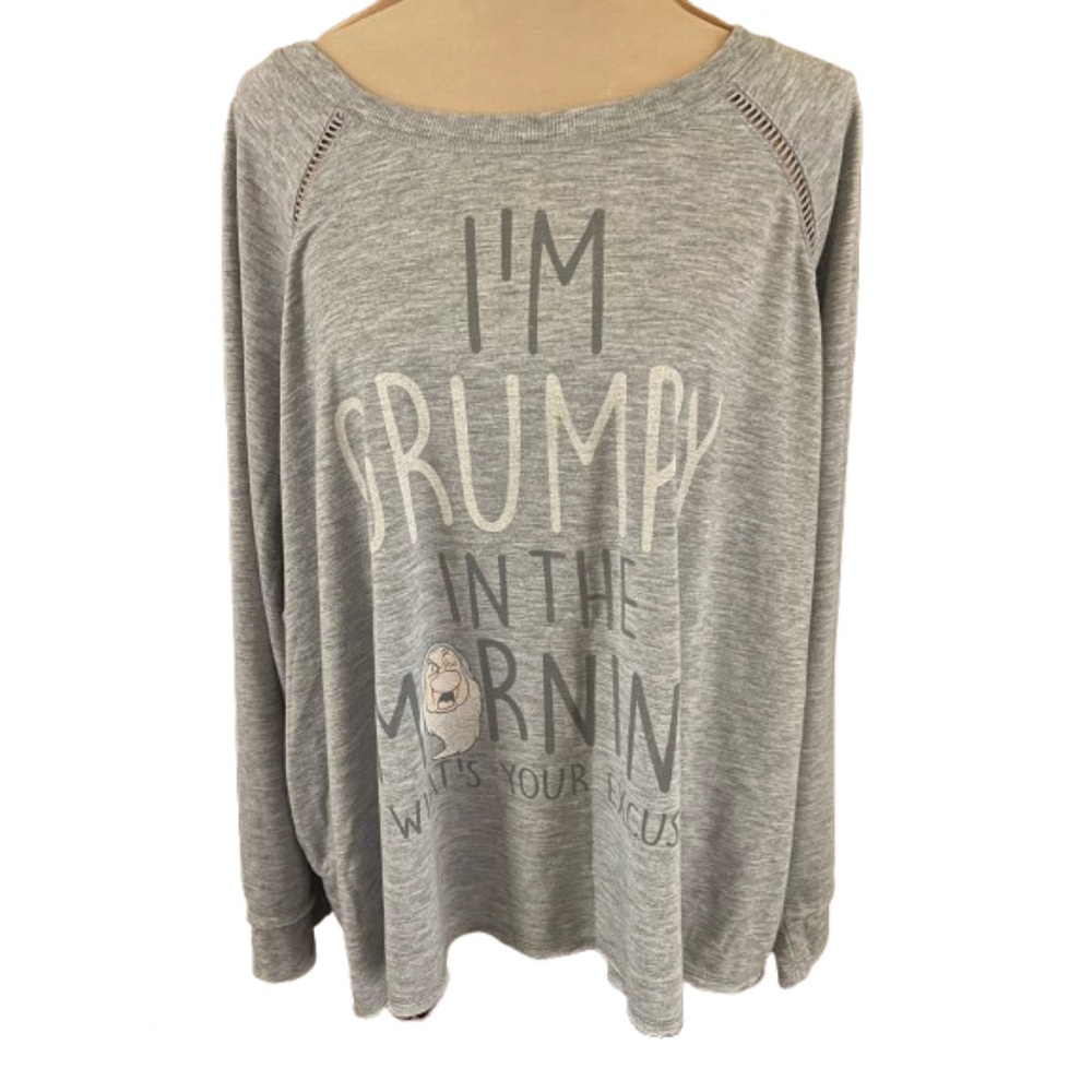 Disney Gray Casual Long Sleeve Top Raw Hem Size 3X (22W-24W) Grumpy Lightweight
